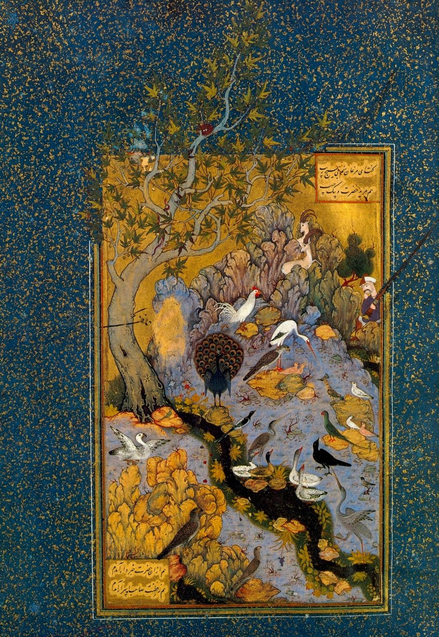 Folio de Mantiq al-Tayr A linguagem dos pássaros, por Attar, c1600. de Habib Allah