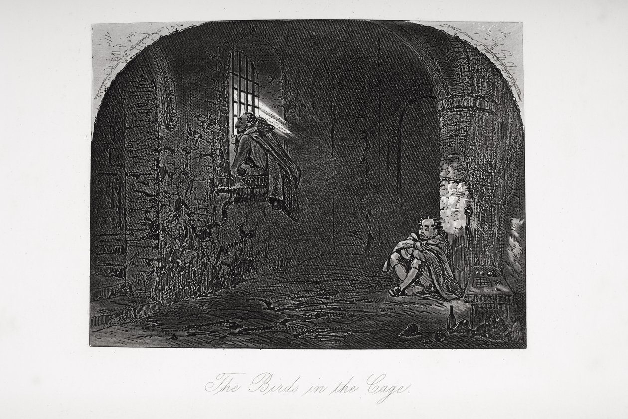 Os pássaros na gaiola, ilustração de &39;Little Dorrit&39; por Charles Dickens (1812-1870) publicado pela primeira vez em 1857 de Hablot Knight Browne