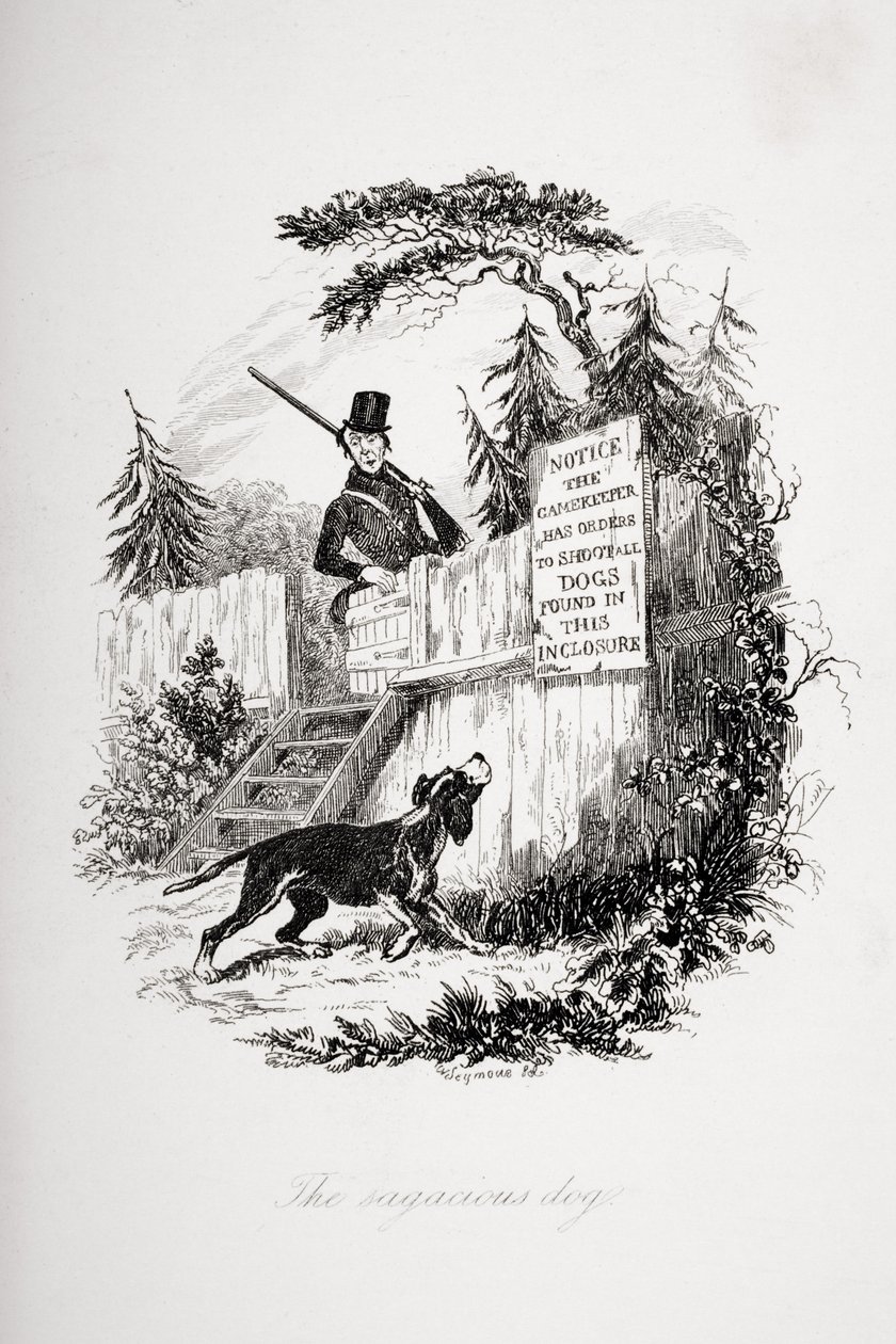 O cão sagaz, ilustração de "The Pickwick Papers", de Charles Dickens (1812-1870), publicou 1837 de Hablot Knight Browne