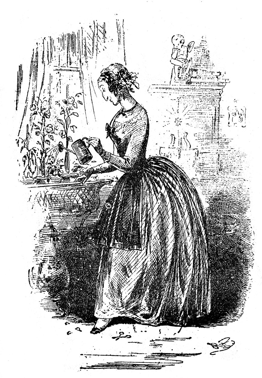 Dombey & Son de Charles Dickens de Hablot Knight Browne