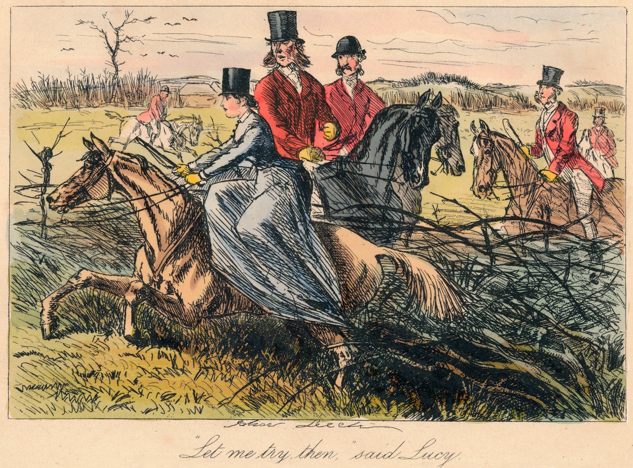 Deixe-me experimentá-los, disse Lucy, 1865. de Hablot Knight Browne
