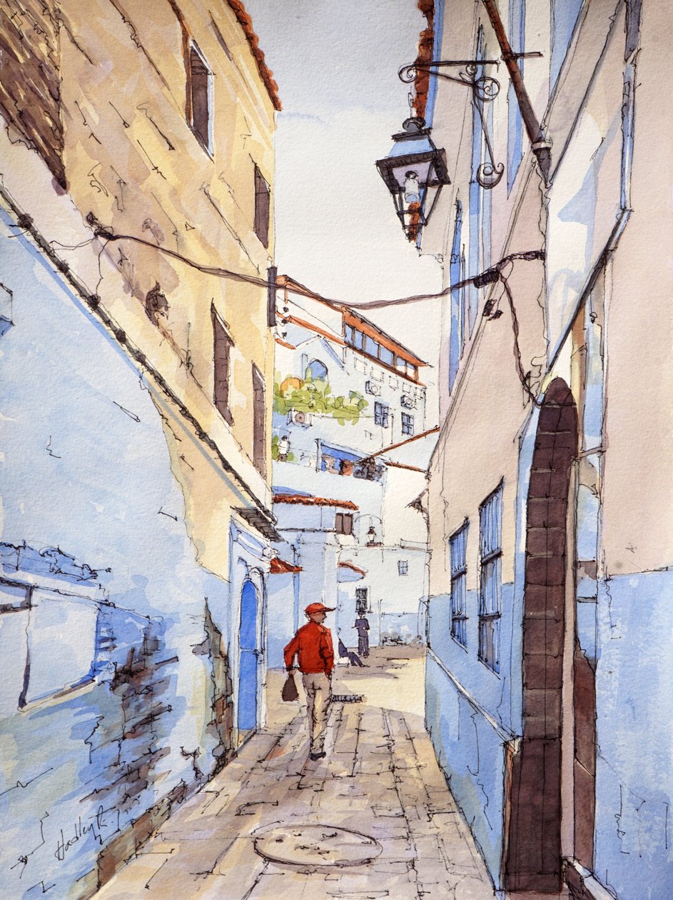 Um visitante, Chefchaouen, Marrocos, c.2024 (aguarela e tinta) de Hadley Rampton
