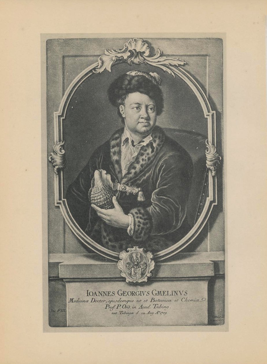 Retrato do naturalista, botânico e geógrafo Johann Georg Gmelin 1709-1755, meados do séc. de Haid