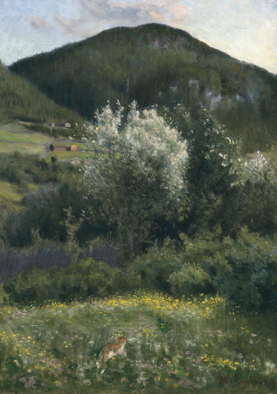 Cereja de pássaro de Halfdan Egedius