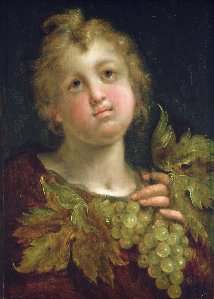 Rapaz com um cacho de uvas, 1600-5 de Hans von Aachen