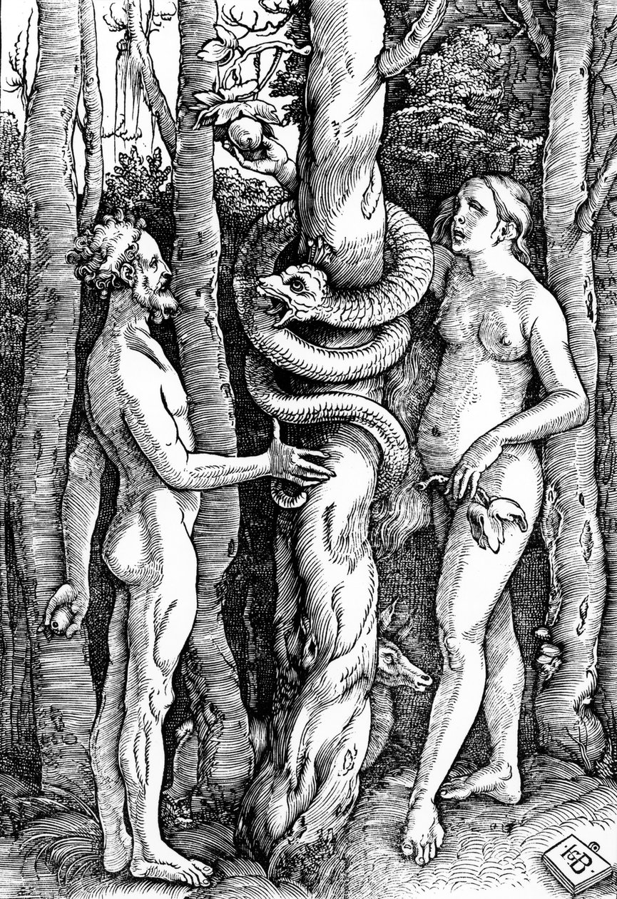 A queda do homem, c.1514 de Hans Baldung Grien