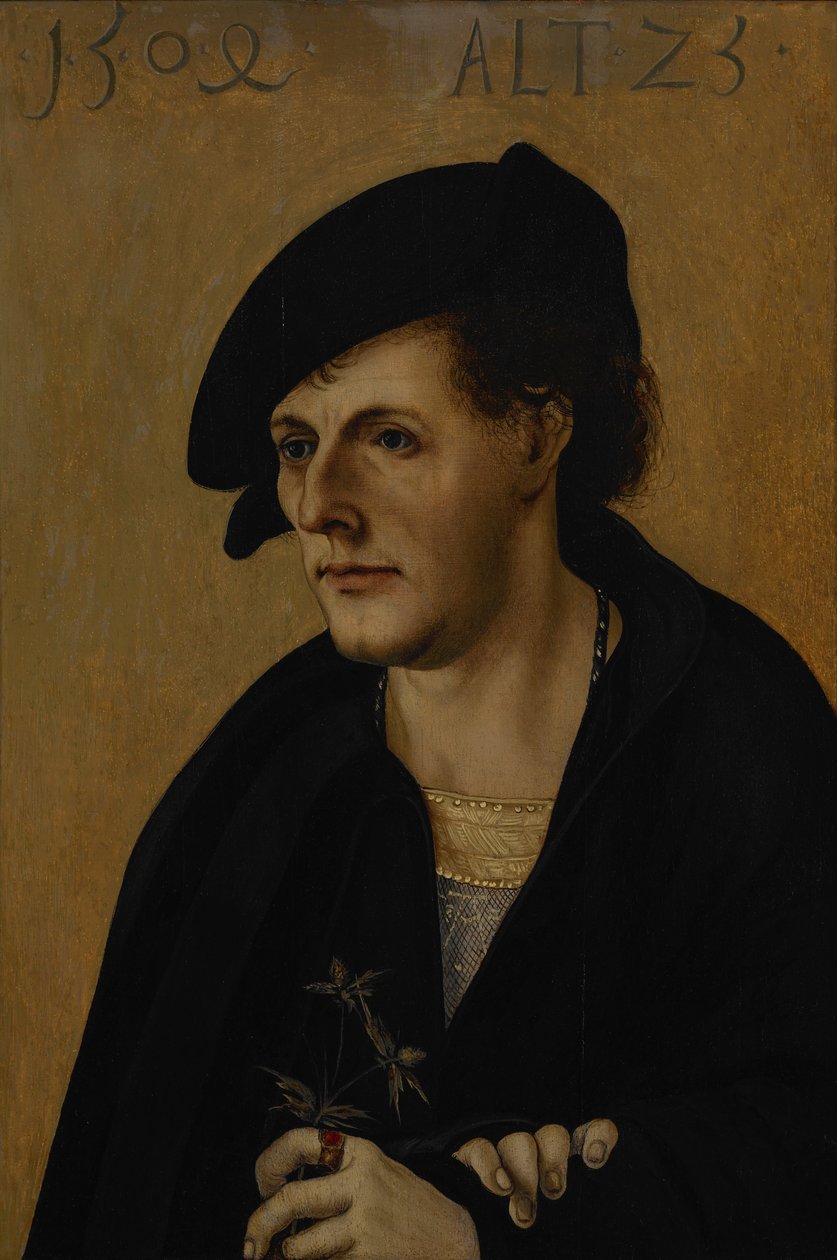 Retrato de um jovem de Hans Leonhard Schäufelein