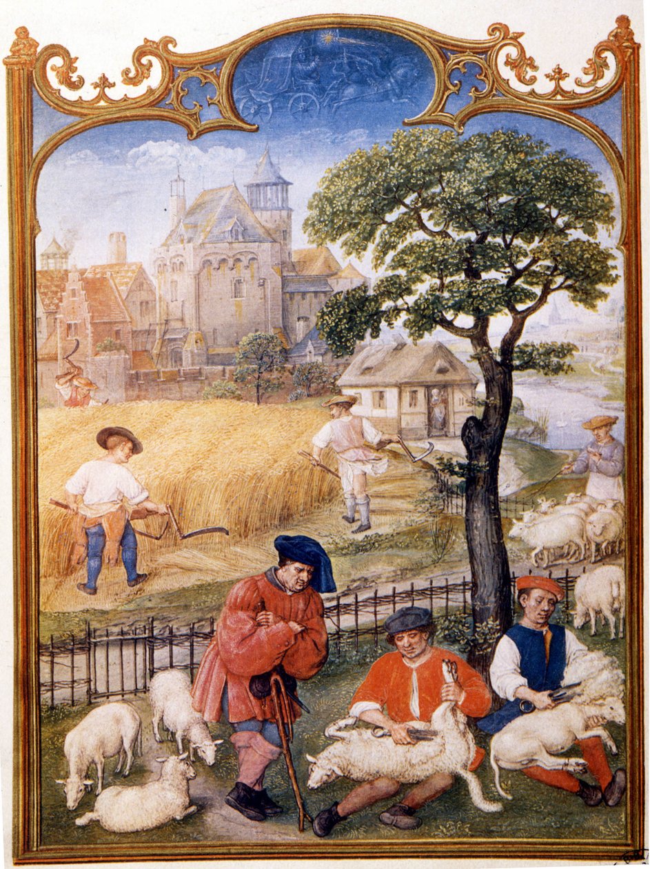 Trabalho de campo, tosquia de ovelhas e camponeses cortam trigo. Miniatura atribuída ao Memling. Placa retirada do Breviaire Grimani do século XV. Biblioteca Marciana, veneza. de Hans (attr.to) Memling