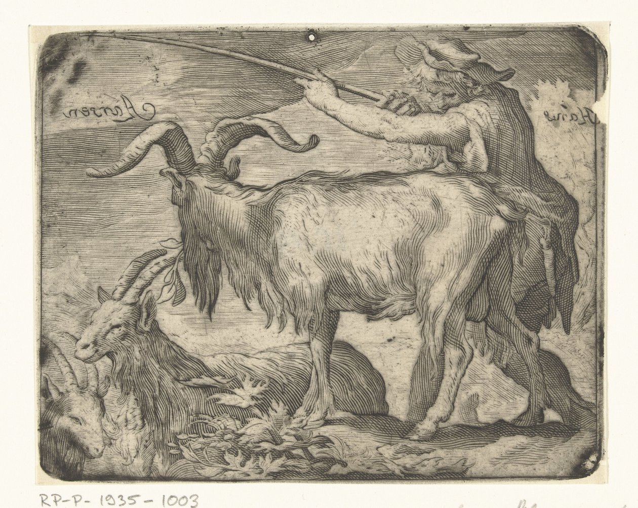 menino com cabras de Hans Aarsen (signed by artist)