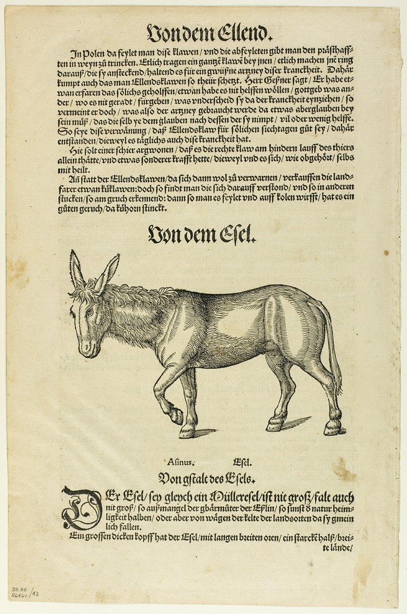 Ilustração de "Thierbuch", placa 42 de Gravuras de Livros do Século XVI de Hans Asper