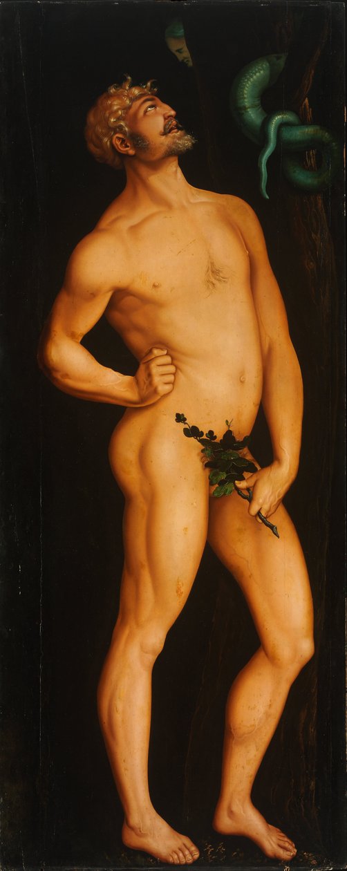 Adão de Hans Baldung