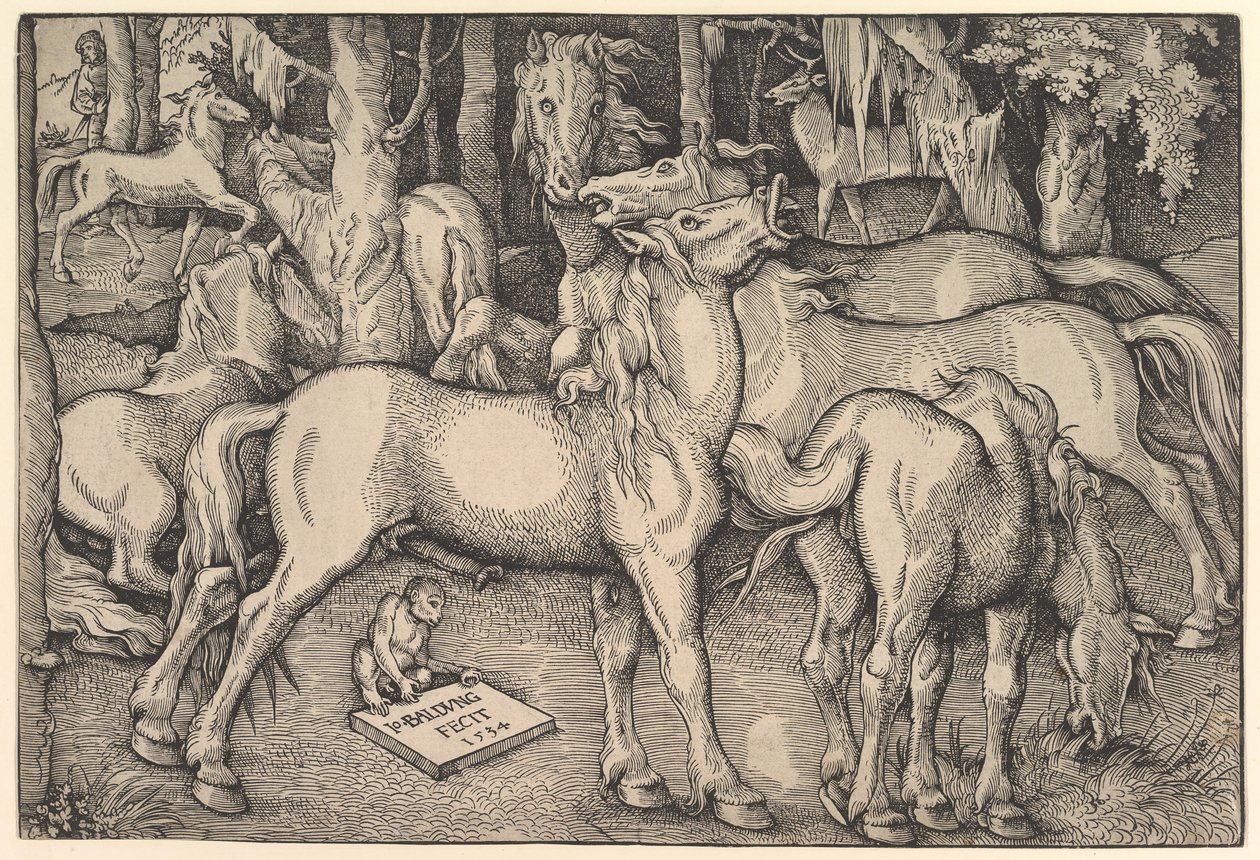 Grupo de sete cavalos, 1534. de Hans Baldung