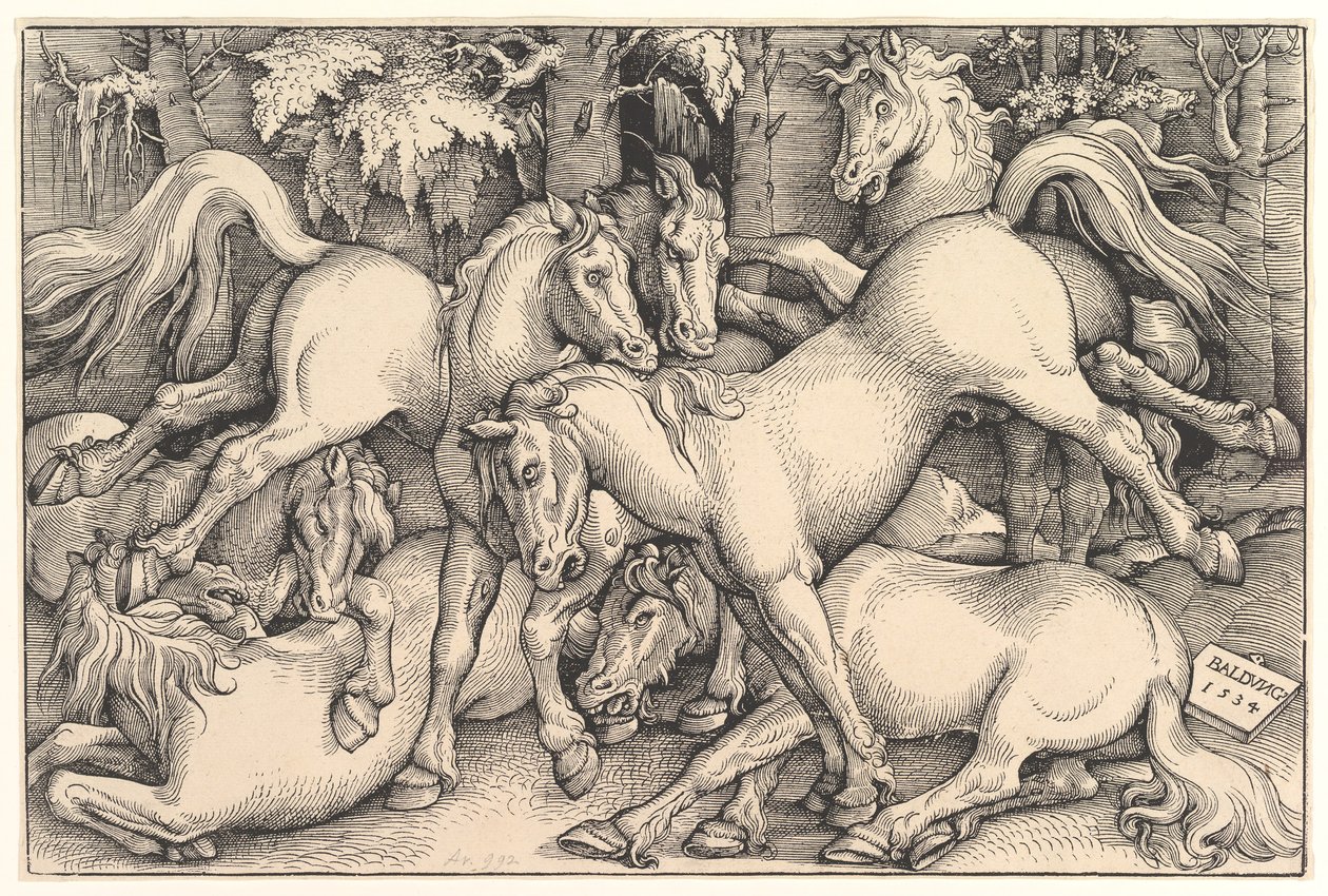 Grupo de sete cavalos, 1534. de Hans Baldung