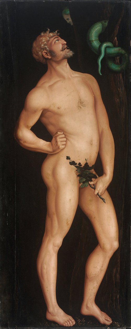 Adão de Hans Baldung Grien