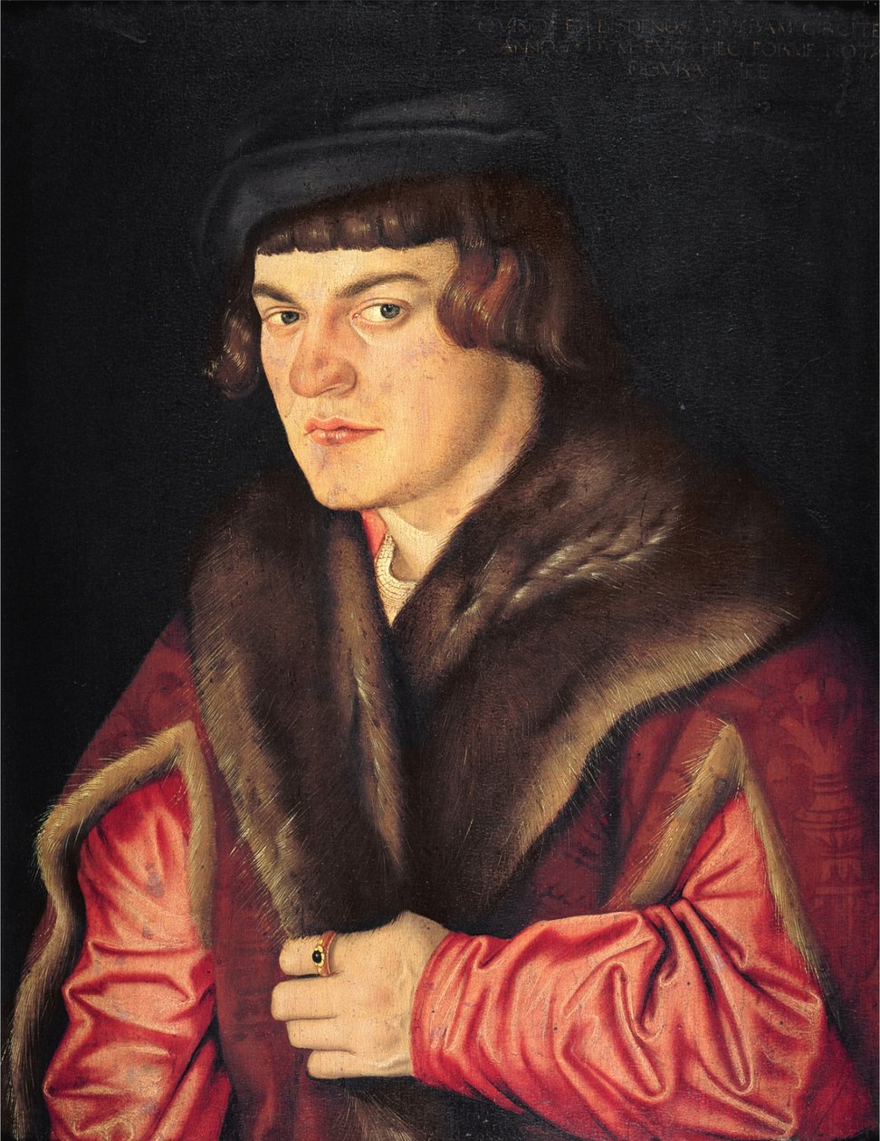 Alemão: Porträt eines Mannes Retrato de um homem de Hans Baldung Grien