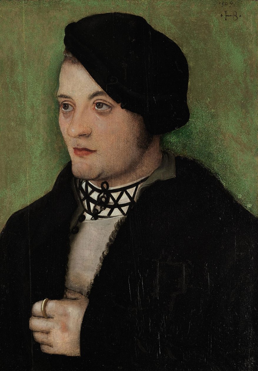 Alemão: Retrato de um jovem de meio perfil à esquerda Retrato de um jovem de Hans Baldung Grien