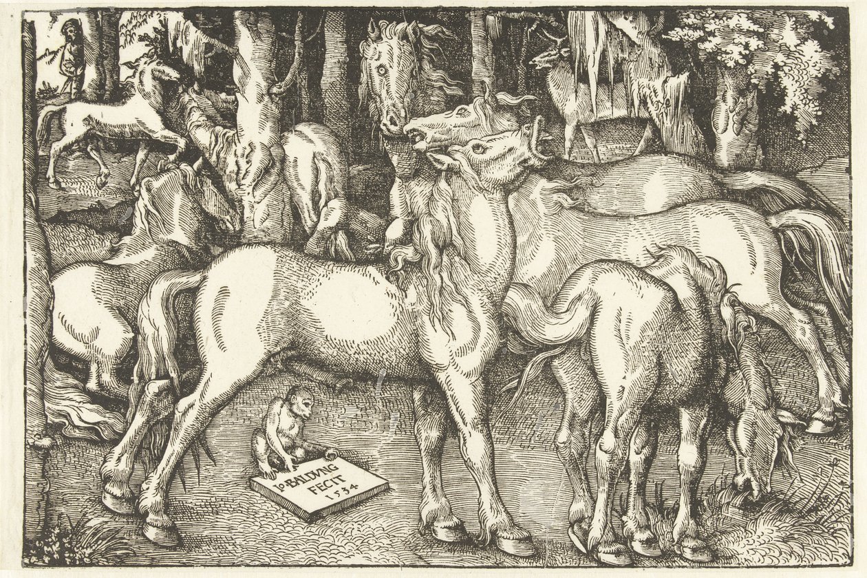 Grupo de sete cavalos e um macaco de Hans Baldung Grien