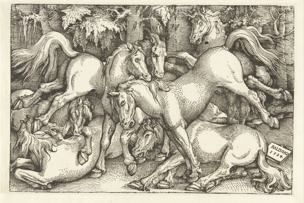 Grupo de sete cavalos de luta de Hans Baldung Grien