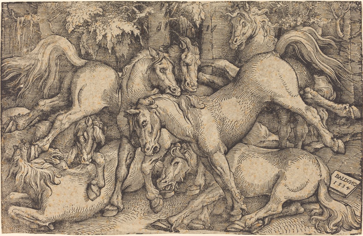 Grupo de sete cavalos na floresta de Hans Baldung Grien