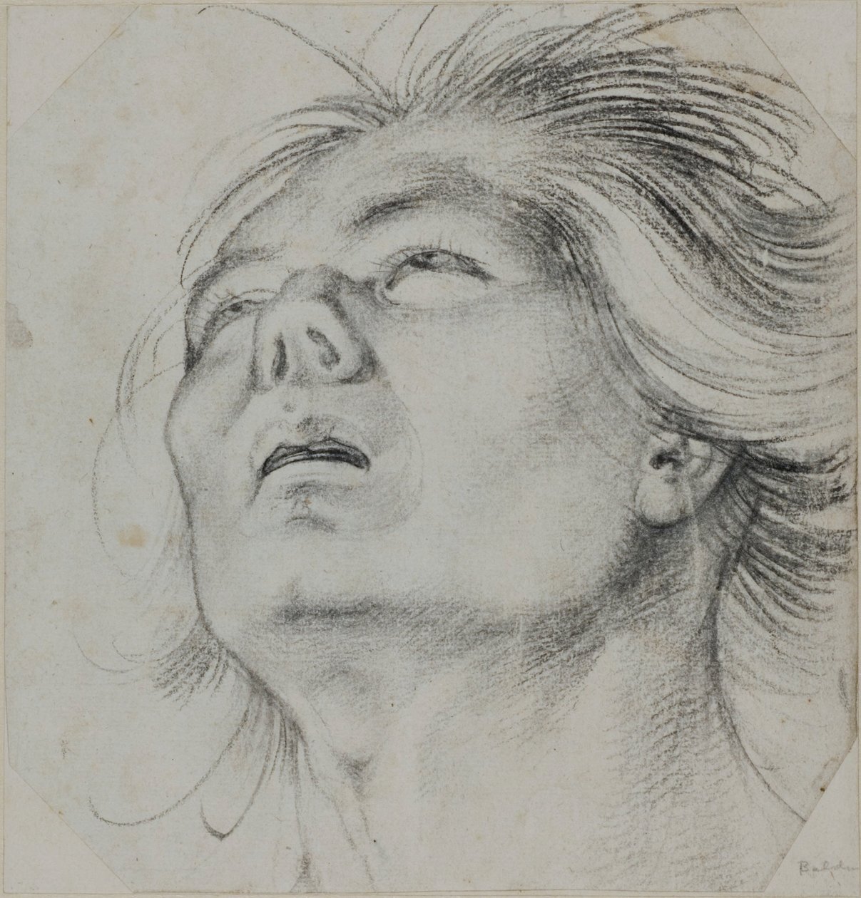 Cabeça de um jovem, vista de baixo de Hans Baldung Grien