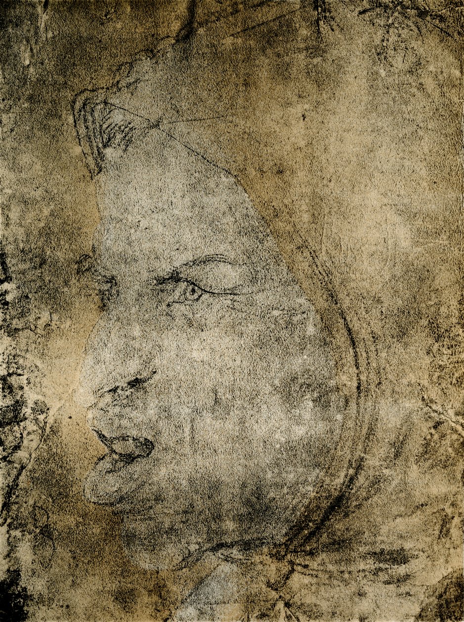 Cabeça de tolo de Hans Baldung Grien