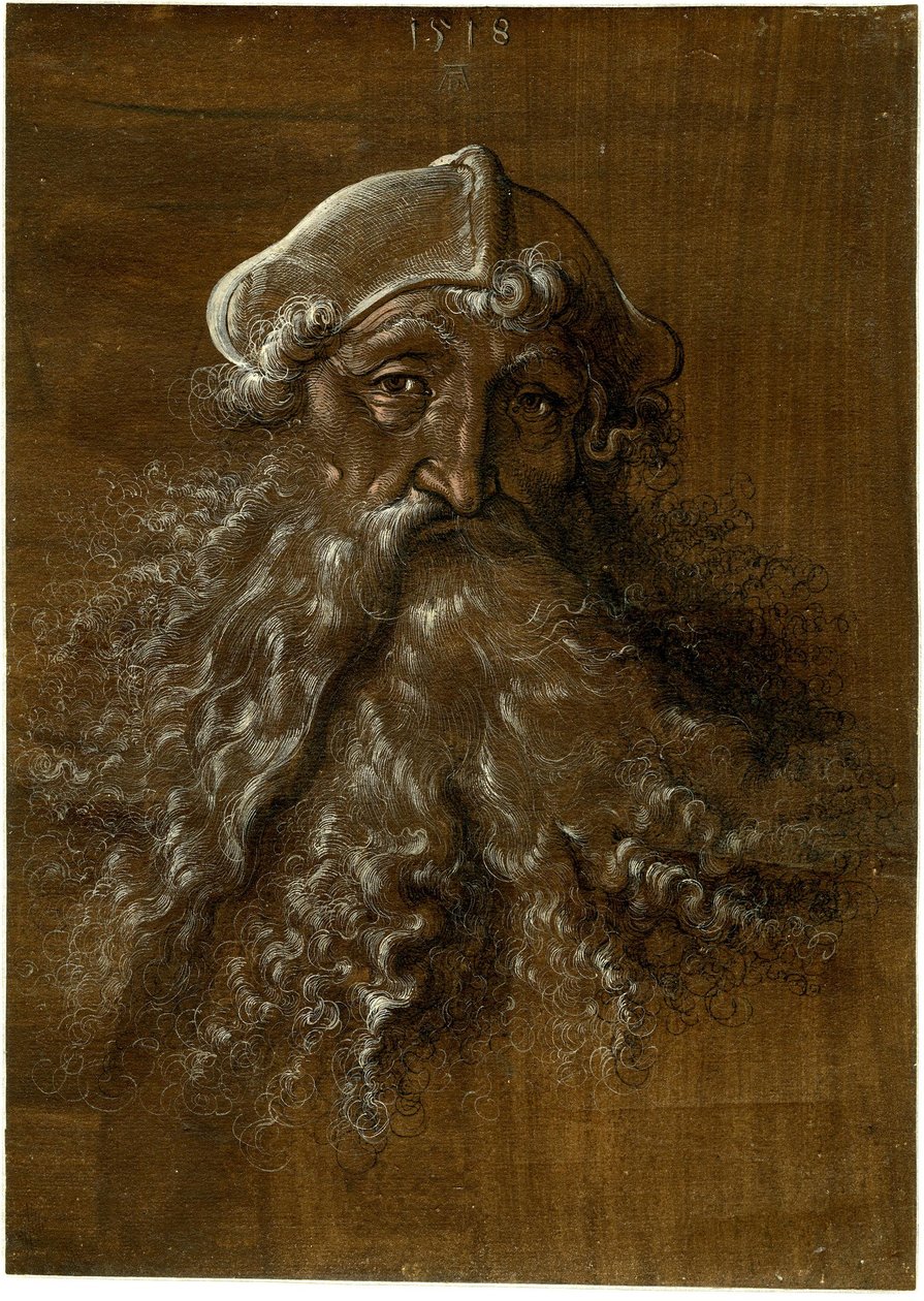 Cabeça de um homem idoso com uma barba pesada de Hans Baldung Grien