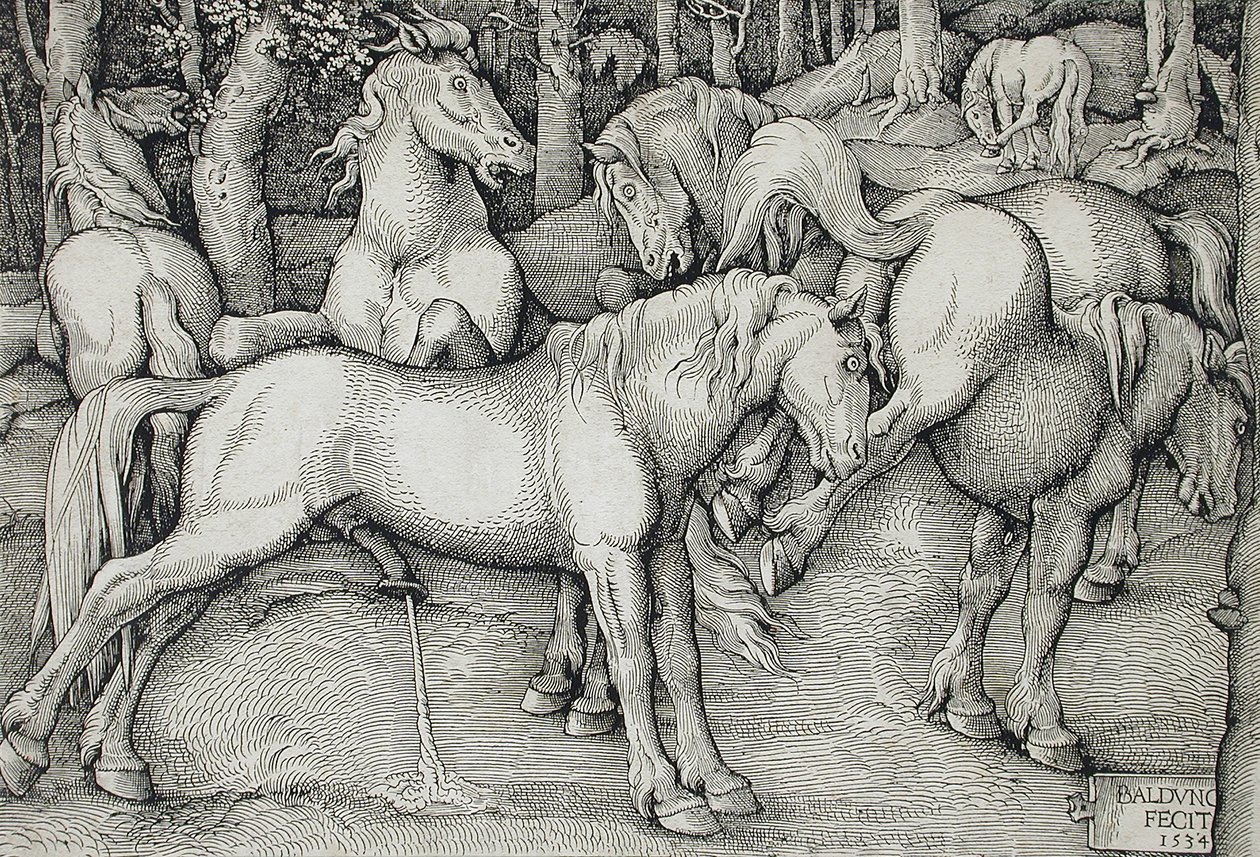 Garanhão e égua em cio no meio de um grupo de cavalos selvagens na floresta de Hans Baldung Grien