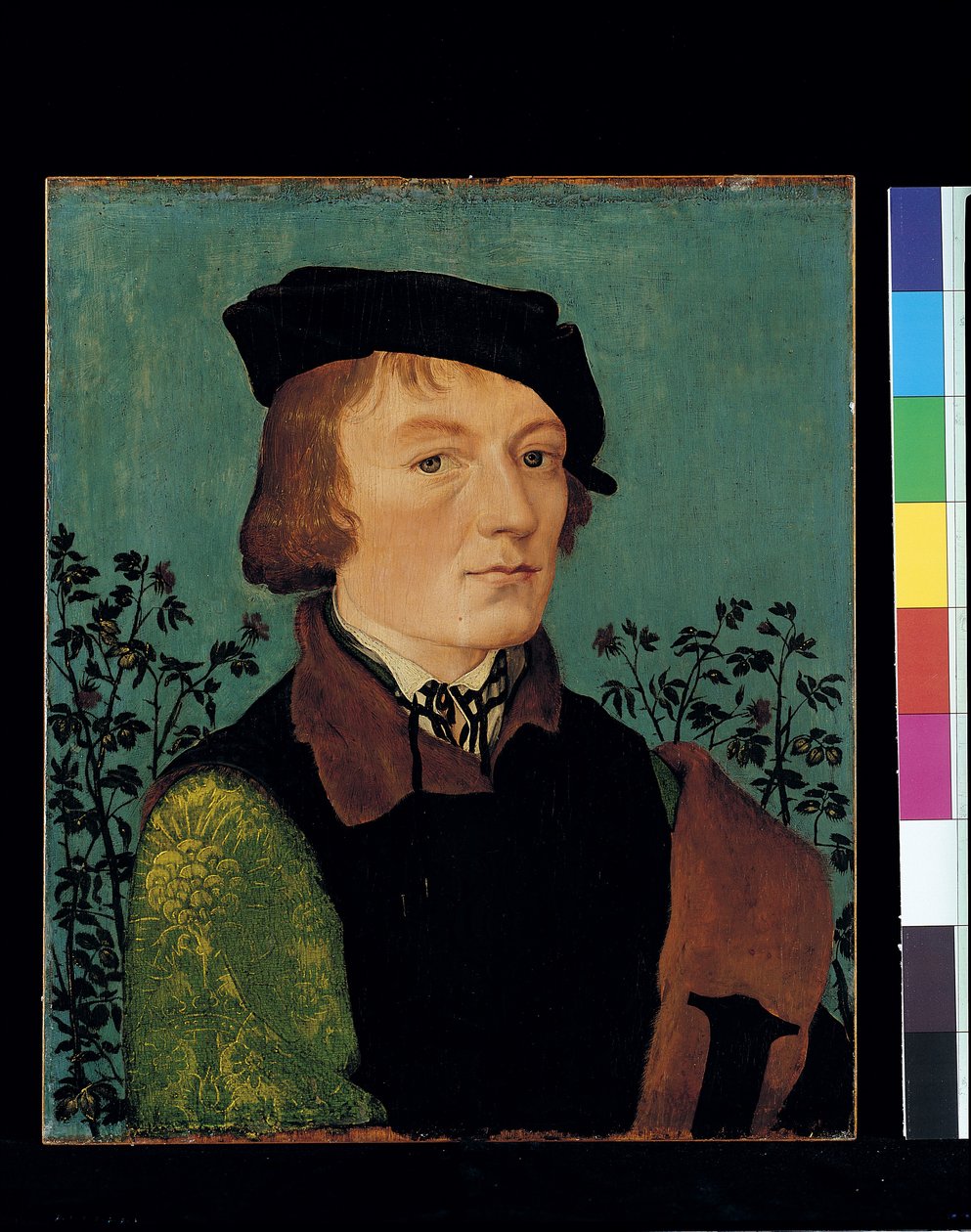 Retrato de um homem em frente de uma sebe de rosa (óleo sobre madeira) de Hans Baldung Grien