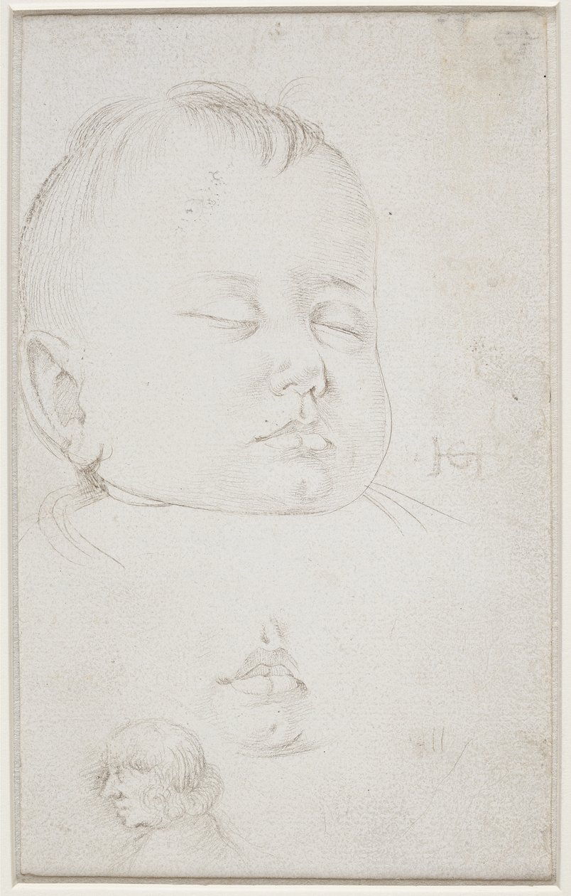 A cabeça de um menino pequeno em perfil de três quartos, a boca entreaberta do menino e de Hans Baldung Grien