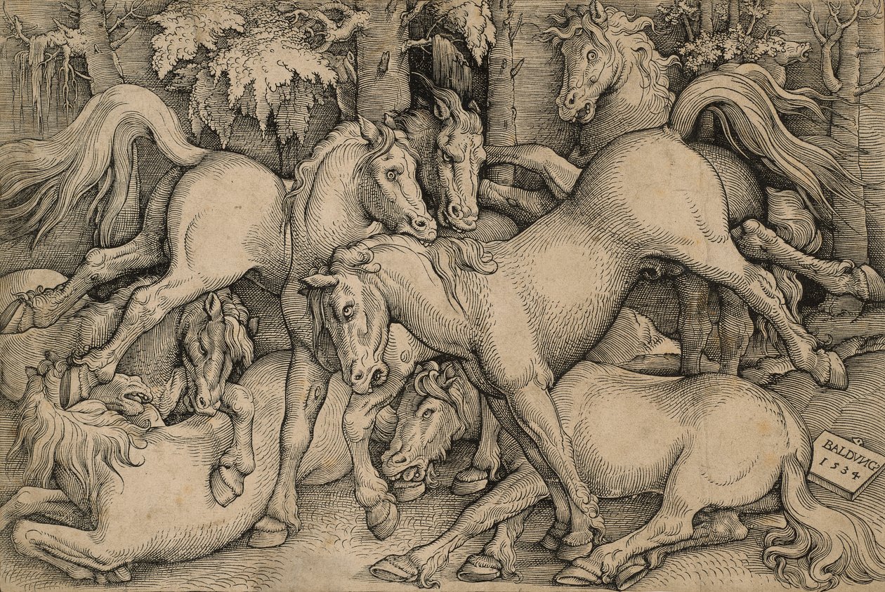 Cavalos selvagens lutando de Hans Baldung Grien