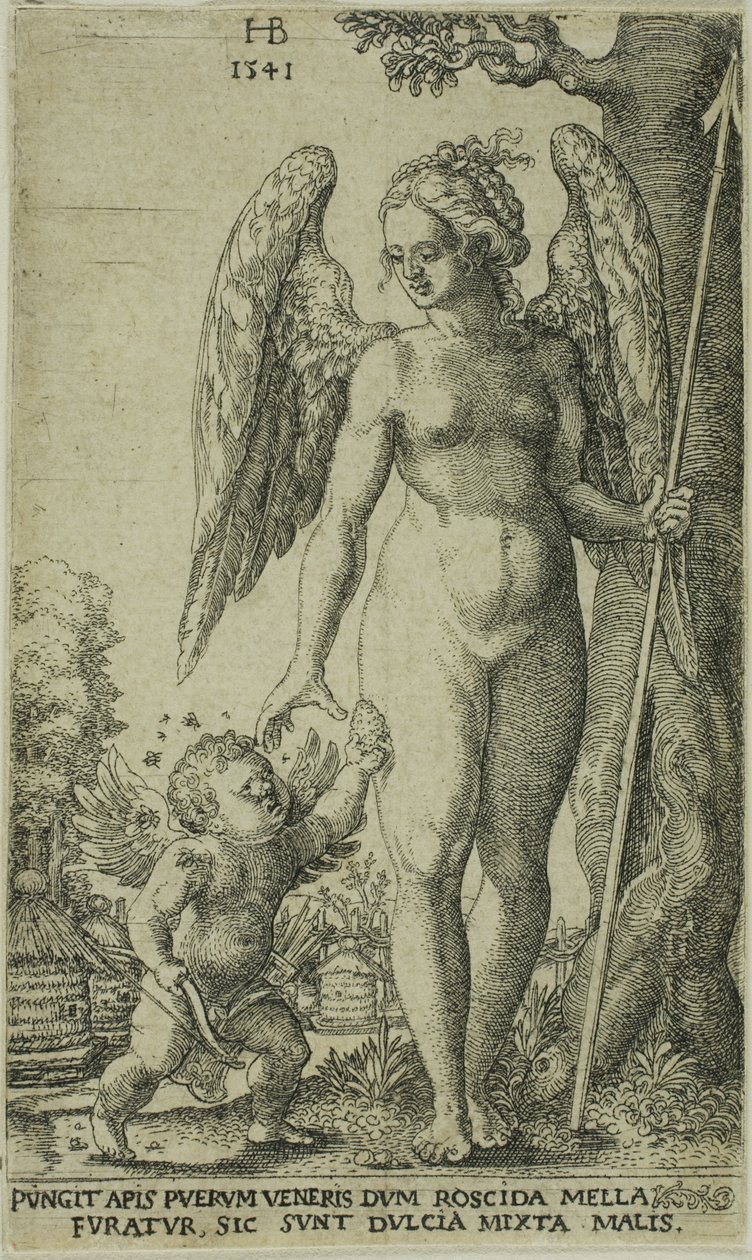 Cupido trazendo e favo de mel para Vênus de Hans Brosamer