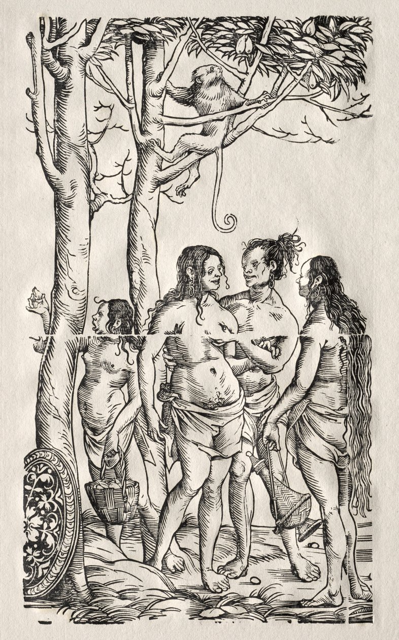 Hottentots com rebanho. de Hans Burgkmair