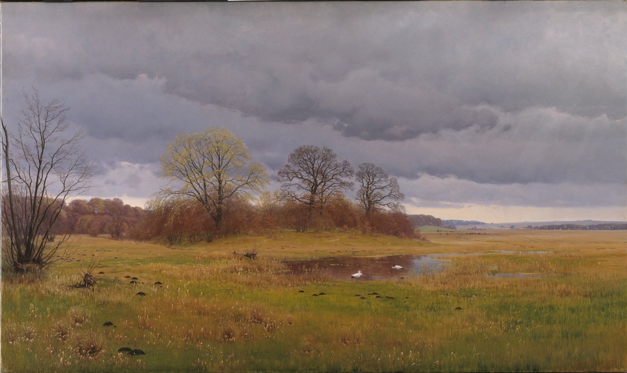 Paisagem de primavera com pancadas de chuva. Zelândia do Sul de Hans Friis