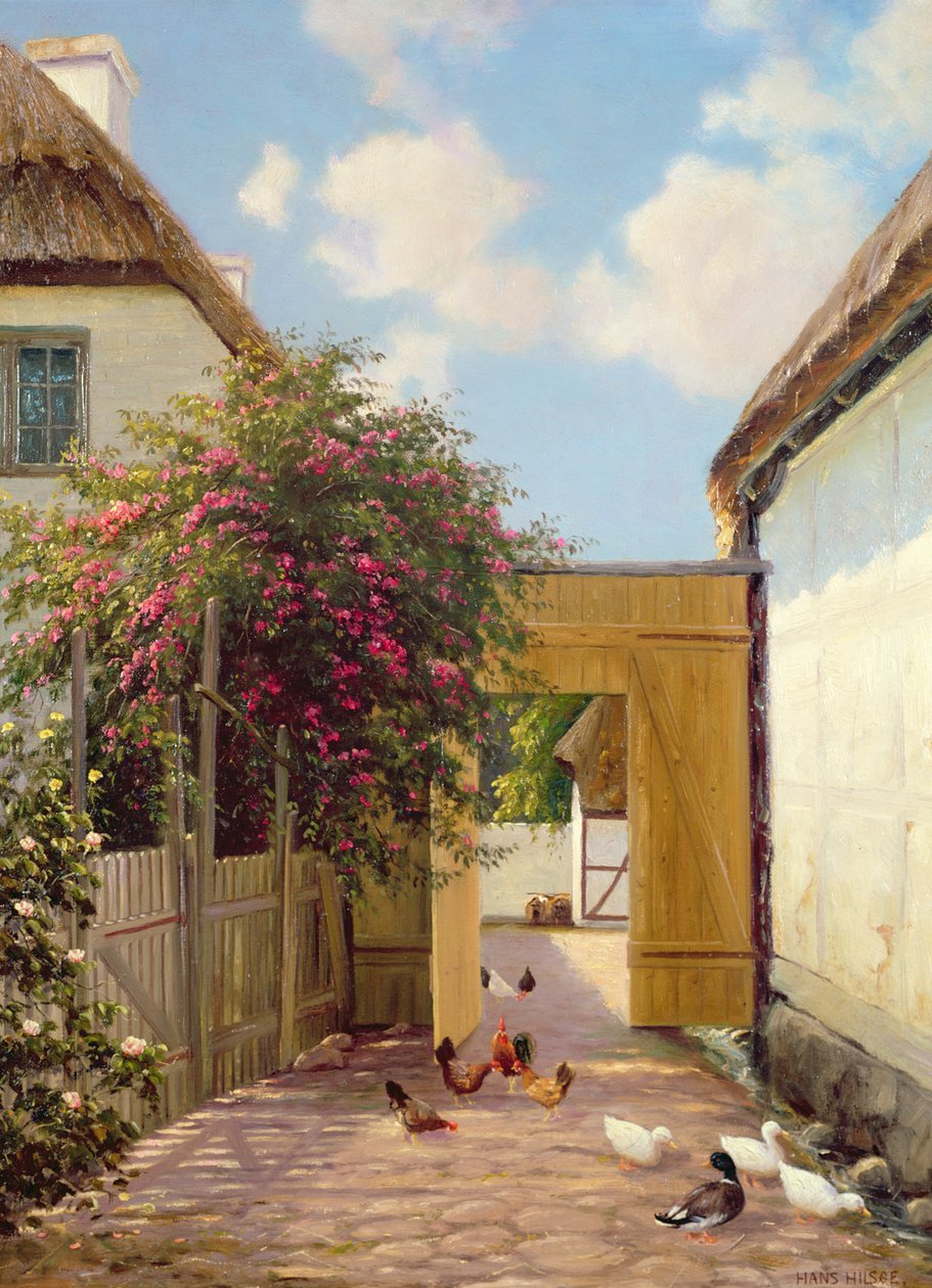 Aves e Patos de Hans Hilse