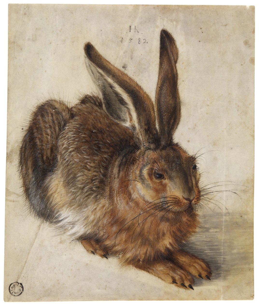 Uma lebre de Hans Hoffmann