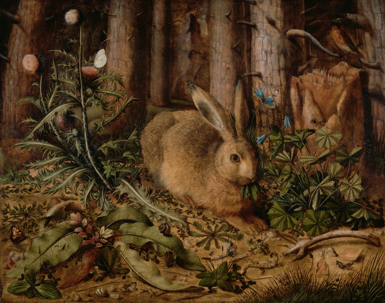 Uma lebre na floresta de Hans Hoffmann