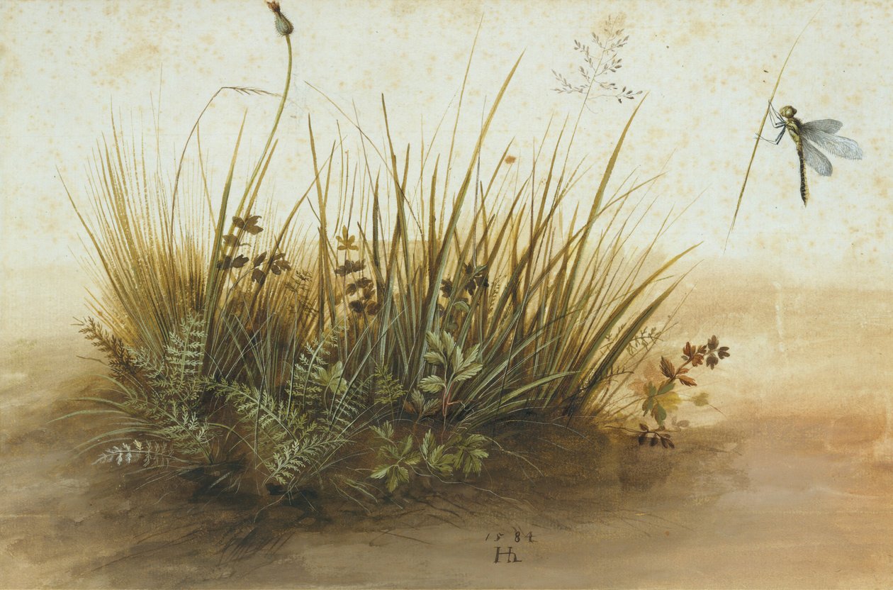 Um pequeno pedaço de grama, 1584. de Hans Hoffmann