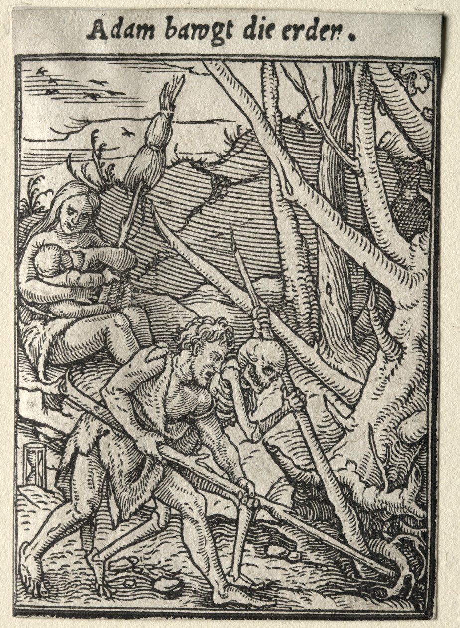Dança da Morte: Adam Tilling the Ground. de Hans Holbein