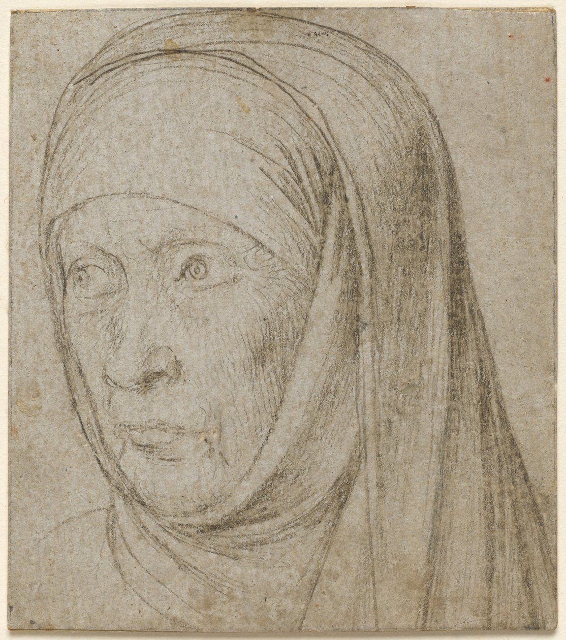 Cabeça de uma velha de Hans Holbein