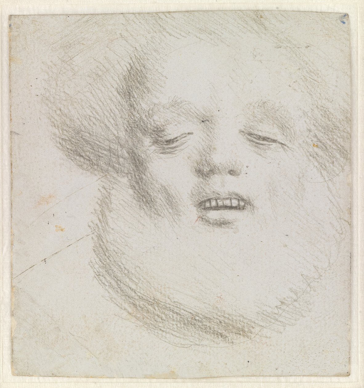 Cabeça de um homem barbudo no rosto visto de baixo de Hans Holbein d.Æ.