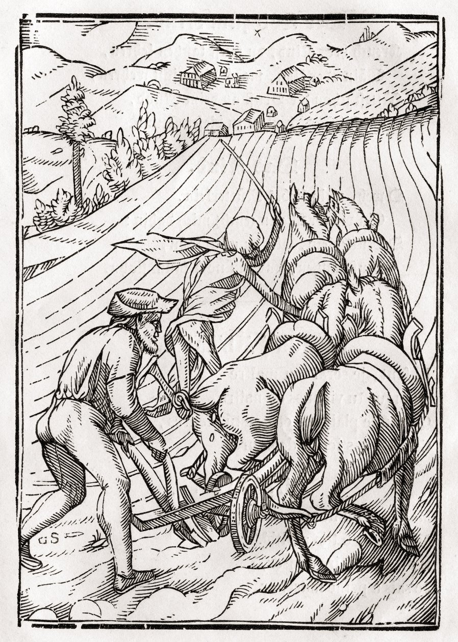 A morte chega para o fazendeiro ou lavrador, gravada por Georg Scharffenberg, de &39;Der Todten Tanz&39;, publicada em Basel, 1843 de Hans Holbein der Jüngere