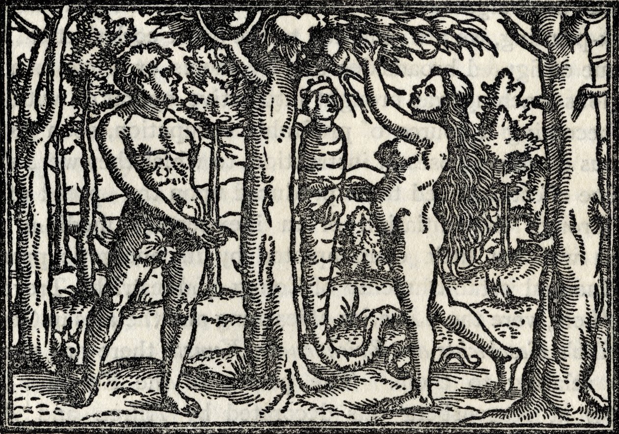 A queda de Adão e Eva, de "Um catálogo de uma coleção de gravuras, gravuras e xilogravuras", de Richard Fisher, publicado em 1879 de Hans Holbein der Jüngere