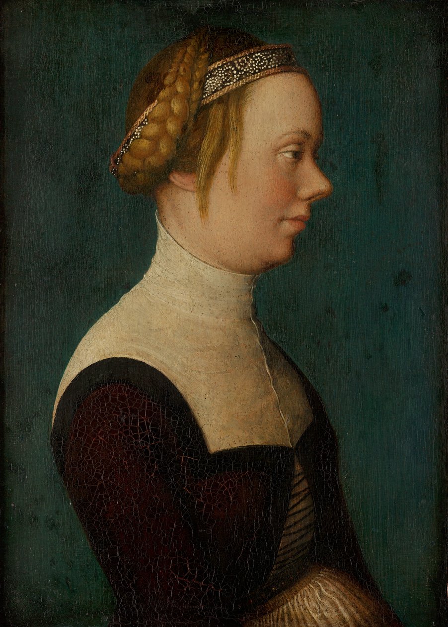 Retrato de uma mulher de Hans Holbein the Elder
