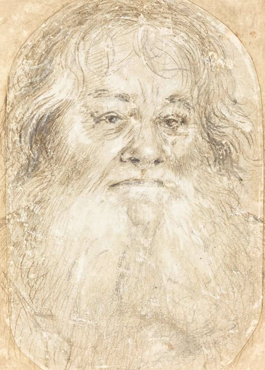 Estudo de um homem barbudo [verso] de Hans Holbein the Elder