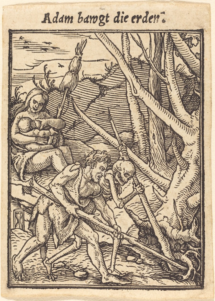 Adão balança a terra de Hans Holbein der Jüngere