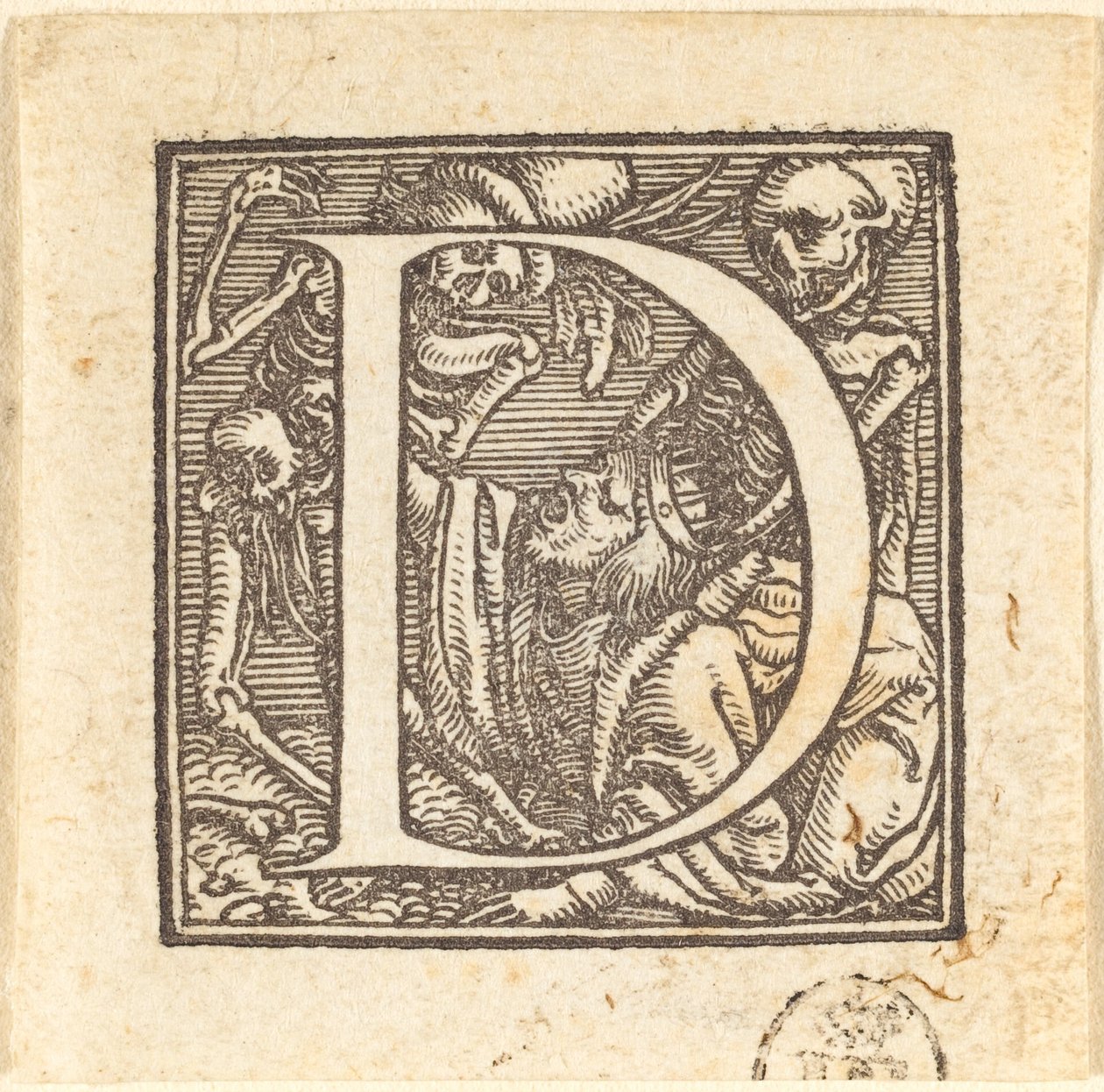 Letra D de Hans Holbein der Jüngere
