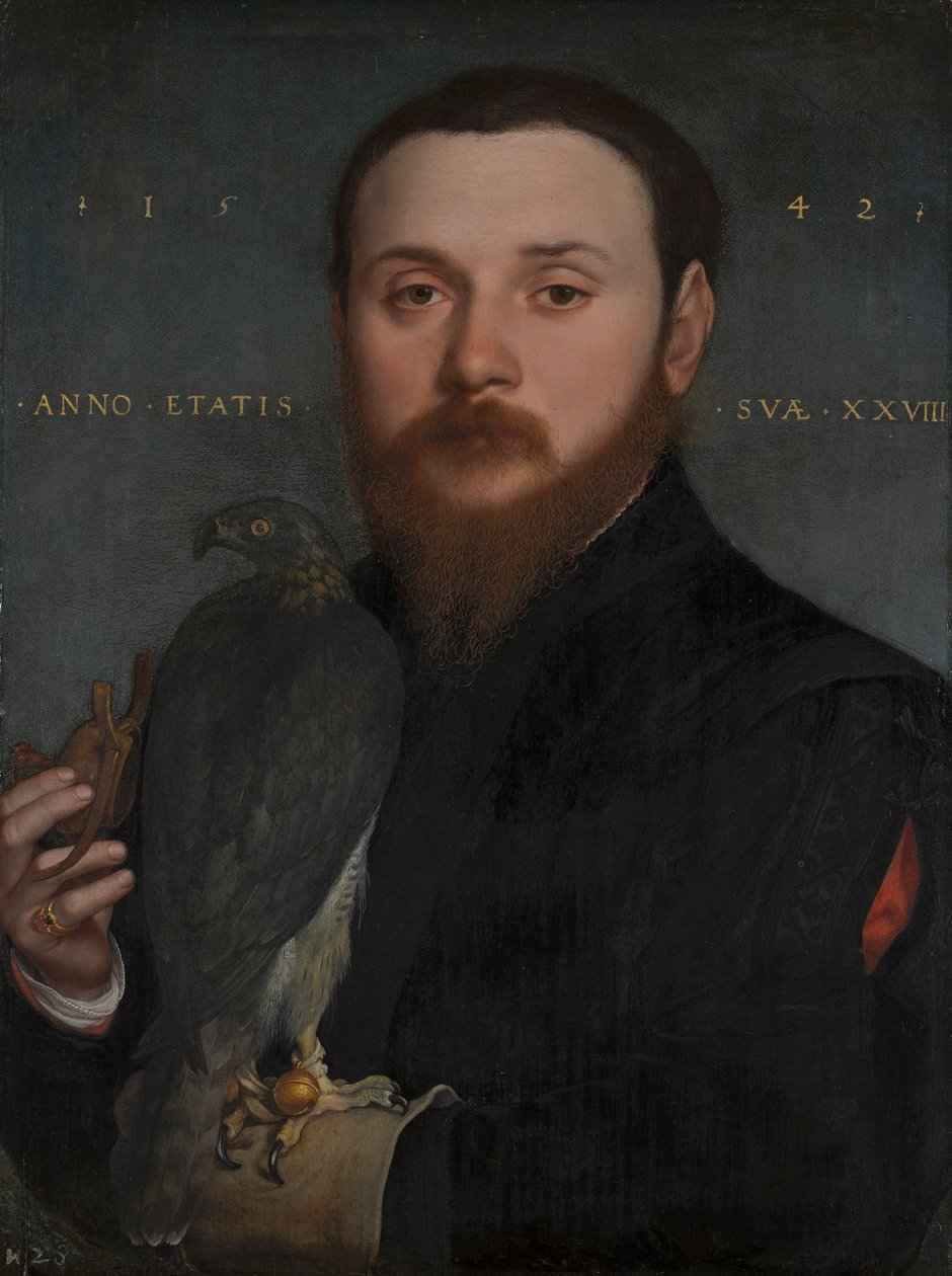 Retrato de um nobre com um falcão, 1542 de Hans Holbein der Jüngere
