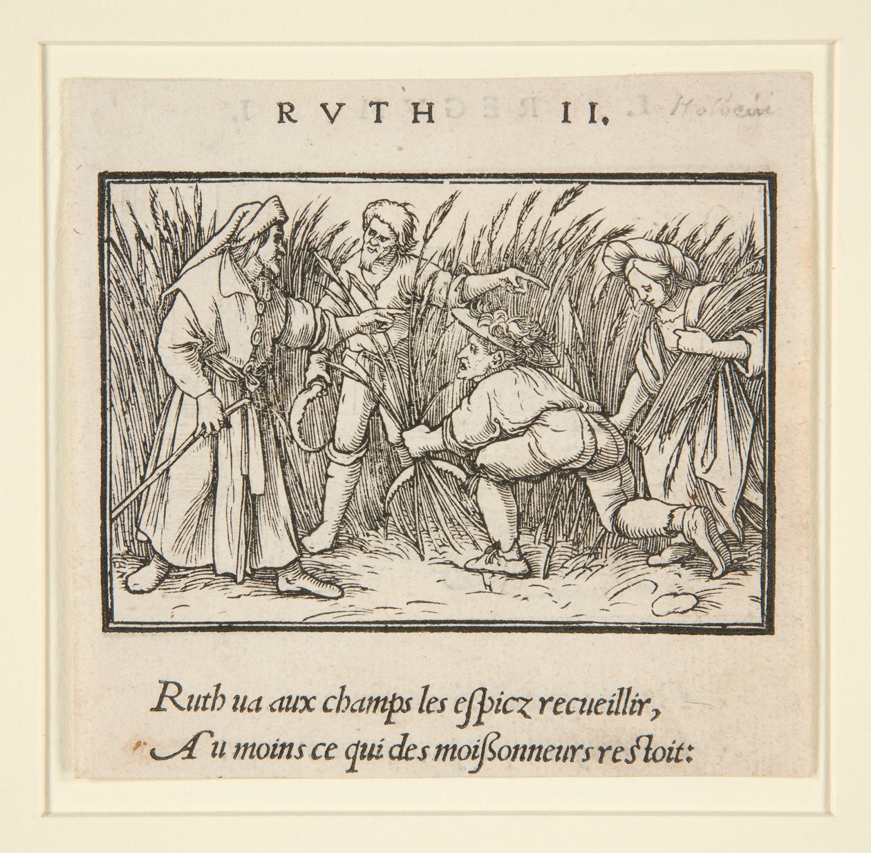 Ruth Cleaning in the Fields of Booz (recto); Hannah and Elkanah (verso) de Hans Holbein der Jüngere