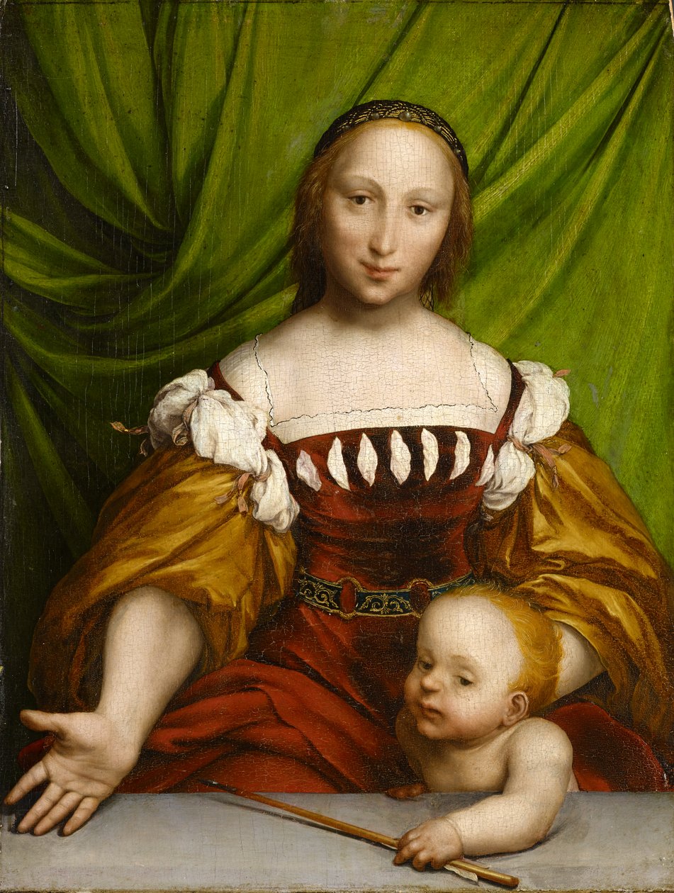 Vênus com Cupido, 1526-28 (óleo sobre lenha) de Hans Holbein der Jüngere