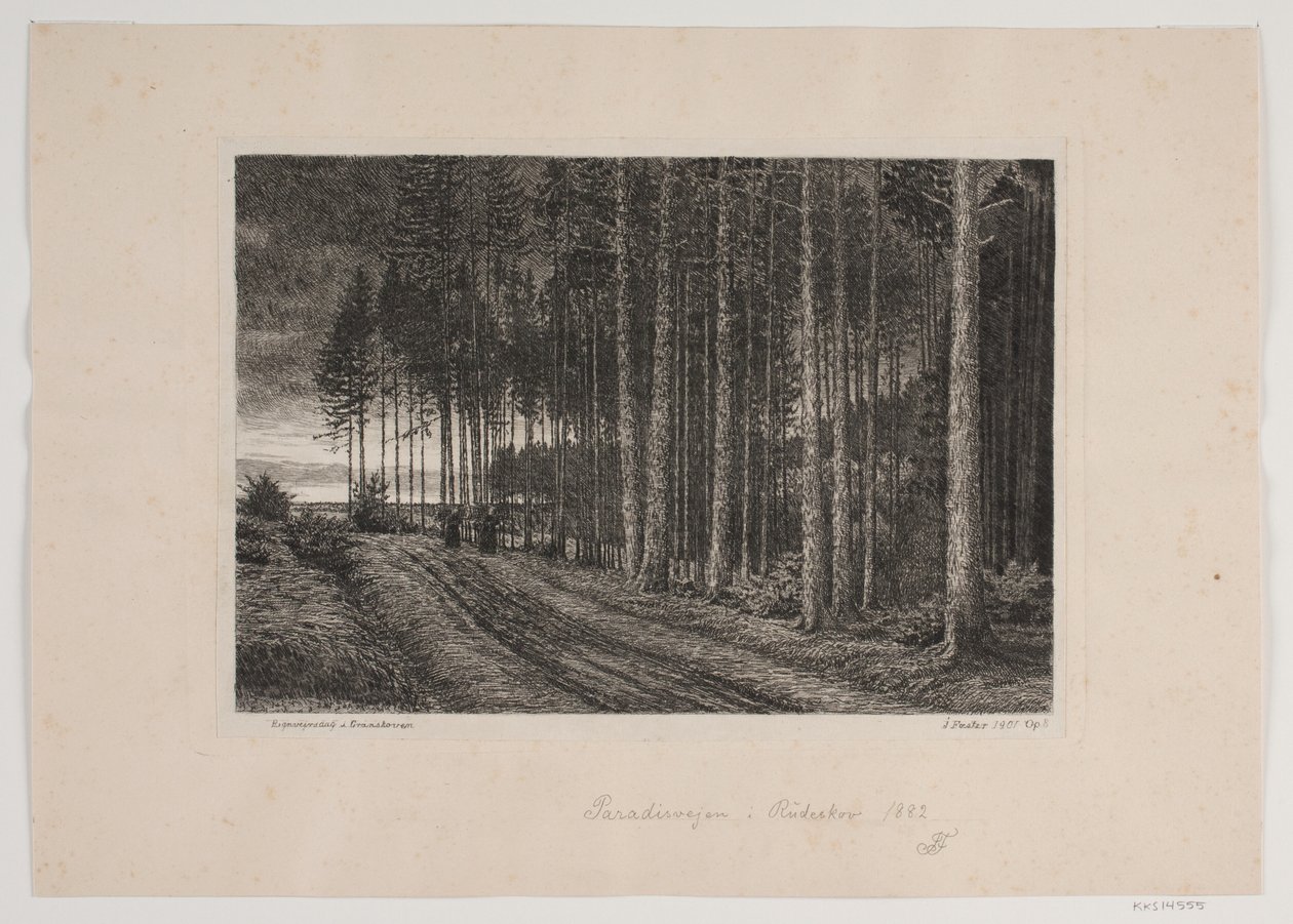 Dia chuvoso na floresta de abetos de Hans Julius Fæster